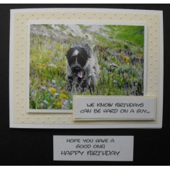 Comical Pet Birthday Cards - made in BC - Mikey 38